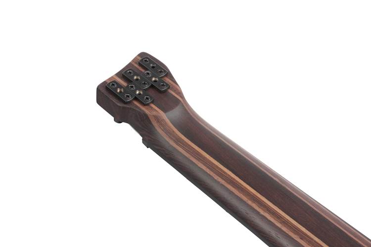 Ibanez EHB1505S 5 String Dragon Eye Burst Ibanez EHB1505S 5 String Dragon Eye Burst