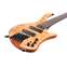 Ibanez EHB1505SMS 5 String Florid Natural Front View