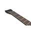 Ibanez EHB1505SMS 5 String Florid Natural Front View
