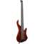 Ibanez EHB1505 5 String Stained Wine Red Front View