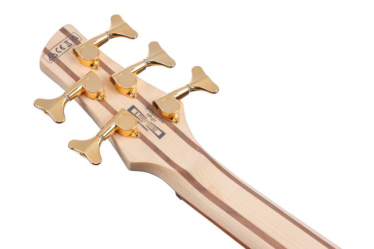 Ibanez SR305EDX 5 String Black Ice Frozen Matte Ibanez SR305EDX 5 String Black Ice Frozen Matte