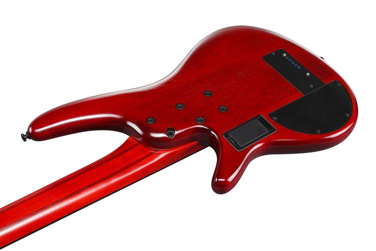 Ibanez SRD905F 5 String Brown Topaz Burst Fretless Bass Ibanez SRD905F 5 String Brown Topaz Burst Fretless Bass