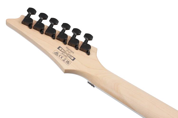 Ibanez RG470DX Sea Foam Green Matte Ibanez RG470DX Sea Foam Green Matte