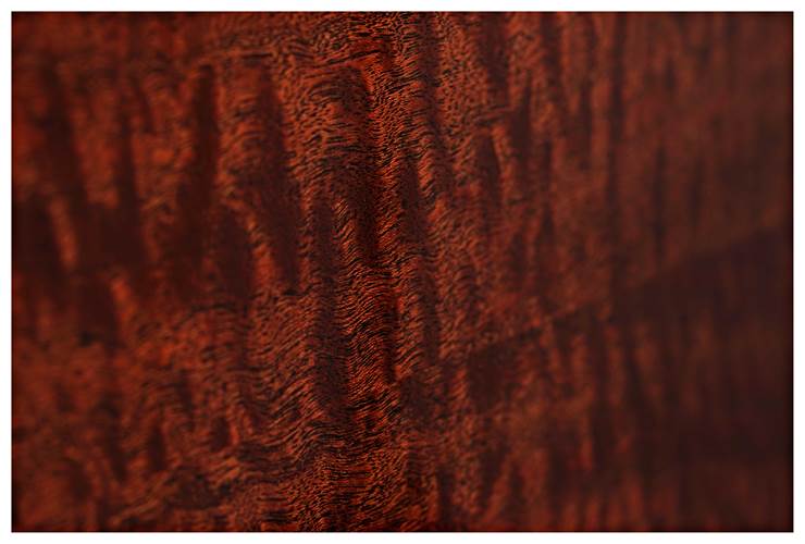 Martin D CFM IV 50th Anniversary Martin D CFM IV 50th Anniversary