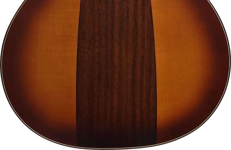 Martin GPCE Inception Maple #2815212 Martin GPCE Inception Maple #2815212