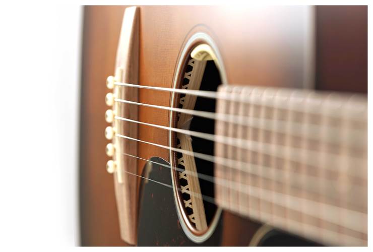 Martin GPCE Inception Maple Martin GPCE Inception Maple