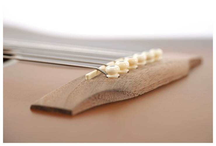 Martin GPCE Inception Maple Martin GPCE Inception Maple