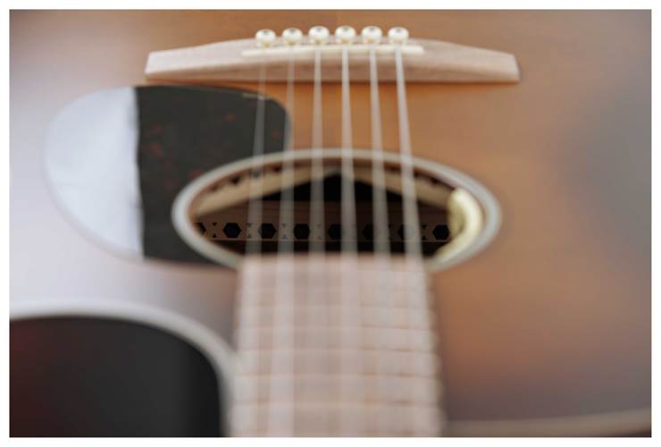 Martin GPCE Inception Maple Martin GPCE Inception Maple