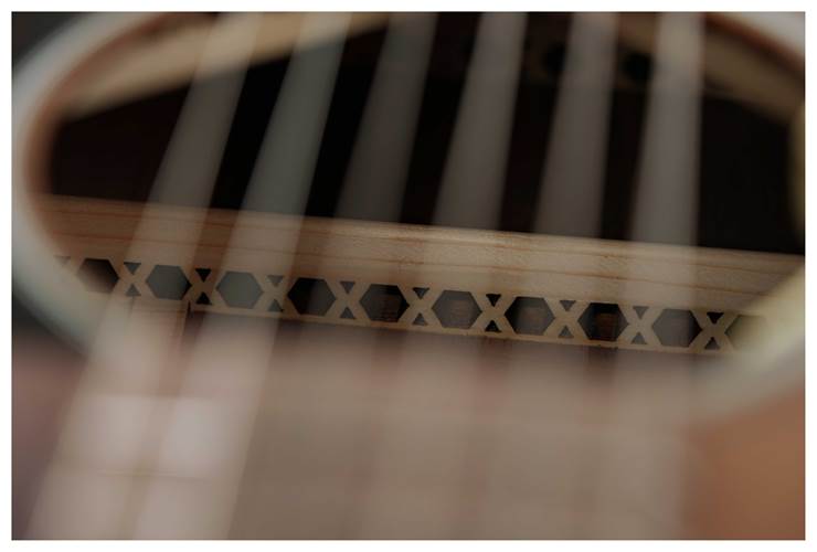 Martin GPCE Inception Maple Martin GPCE Inception Maple