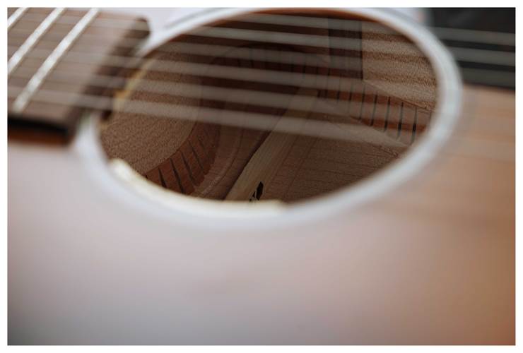 Martin GPCE Inception Maple Martin GPCE Inception Maple