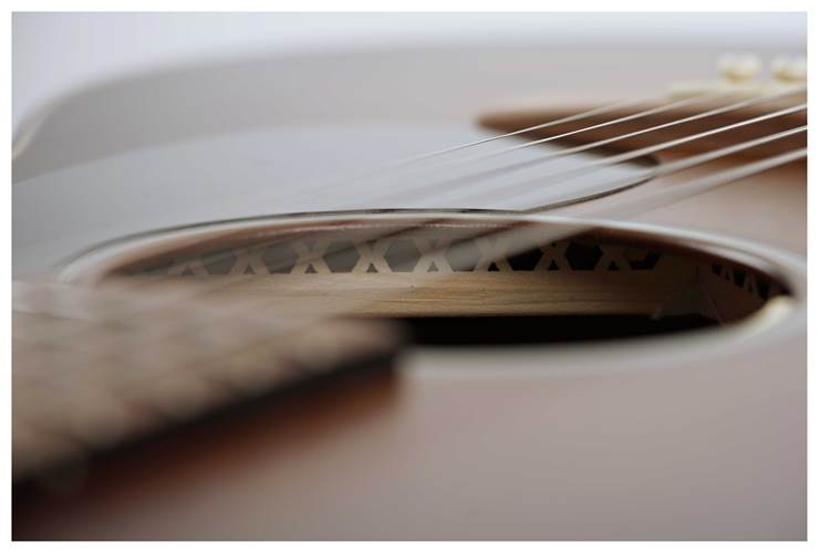 Martin GPCE Inception Maple Martin GPCE Inception Maple