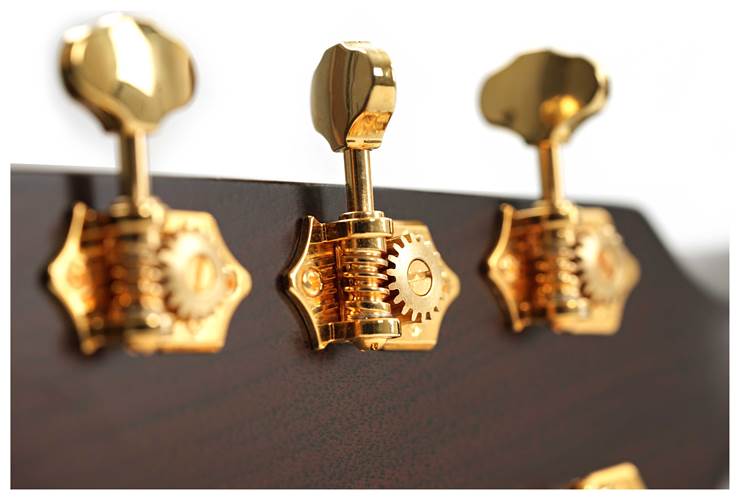 Martin GPCE Inception Maple Martin GPCE Inception Maple