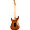 Fender Limited Edition American Ultra Stratocaster HSS Tiger's Eye Back View