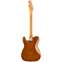 Fender Limited Edition American Ultra Telecaster Tiger's Eye Back View