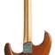 Fender Limited Edition American Ultra Stratocaster Ebony Fingerboard Tiger Eye (Ex-Demo) #US23069204 