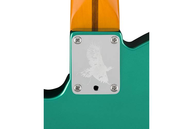 Fender Susan Tedeschi Telecaster Rosewood Fingerboard Aged Caribbean Mist Fender Susan Tedeschi Telecaster Rosewood Fingerboard Aged Caribbean Mist