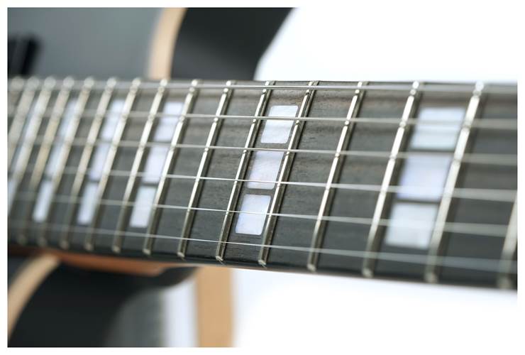 EVH SA126 Special Stealth Black EVH SA126 Special Stealth Black