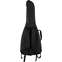 EVH Striped Gig Bag Black and Gray Back View
