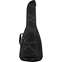 EVH Striped Gig Bag Black and Gray Front View
