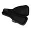 EVH Striped Gig Bag Black and Gray Front View