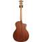 Taylor 114ce-S Sapele Left Handed Back View