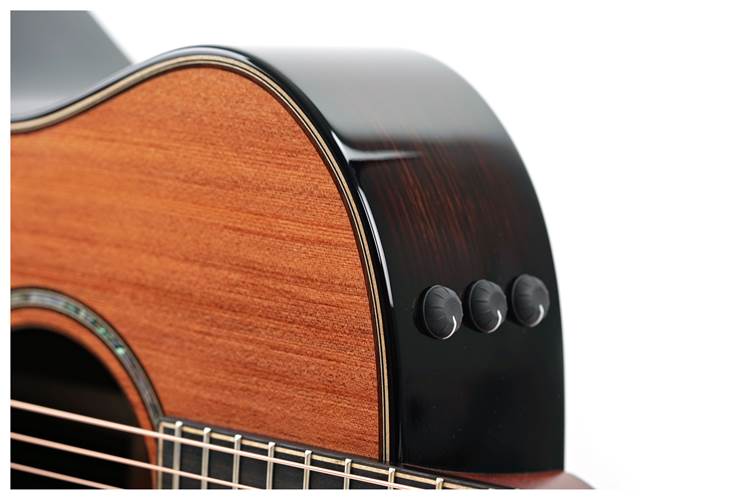 Taylor Builder's Edition 814ce 50th Anniversary (Ex-Demo) #1206134035 Taylor Builder's Edition 814ce 50th Anniversary (Ex-Demo) #1206134035