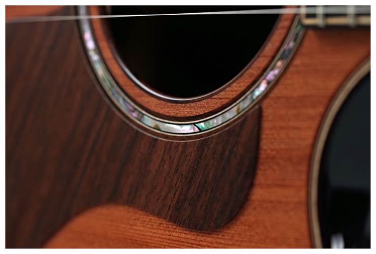 Taylor Builder's Edition 814ce 50th Anniversary (Ex-Demo) #1206134035 Taylor Builder's Edition 814ce 50th Anniversary (Ex-Demo) #1206134035