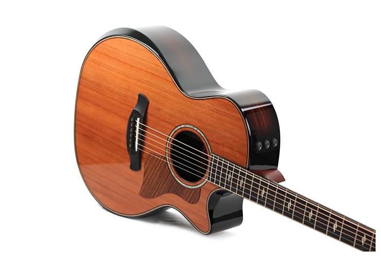 Taylor Builder's Edition 814ce 50th Anniversary Grand Auditorium (Nearly New) #1206104072 Taylor Builder's Edition 814ce 50th Anniversary Grand Auditorium (Nearly New) #1206104072