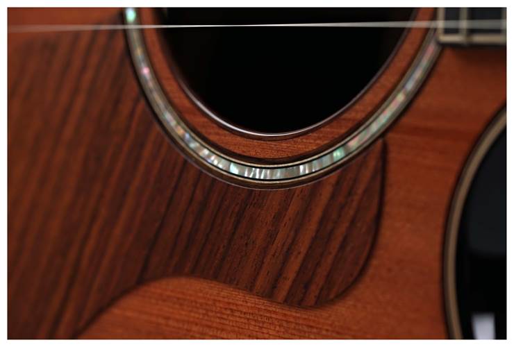 Taylor Builder's Edition 814ce 50th Anniversary Grand Auditorium (Nearly New) #1206104072 Taylor Builder's Edition 814ce 50th Anniversary Grand Auditorium (Nearly New) #1206104072