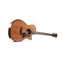 Taylor Builder's Edition 814ce 50th Anniversary Grand Auditorium Front View