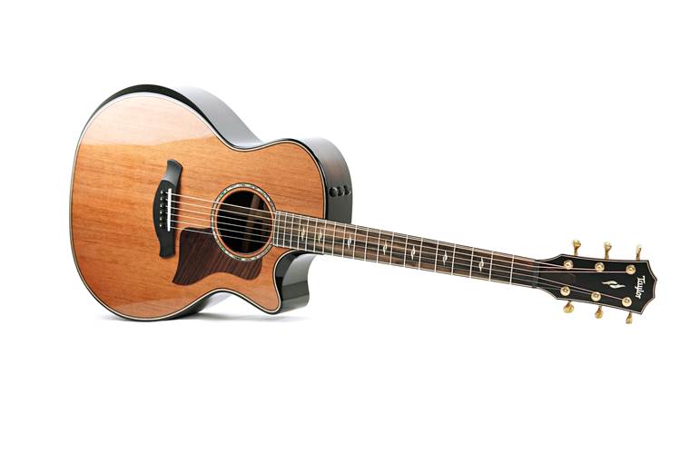 Taylor Builder's Edition 814ce 50th Anniversary Grand Auditorium Taylor Builder's Edition 814ce 50th Anniversary Grand Auditorium