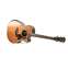 Taylor Builder's Edition 814ce 50th Anniversary Grand Auditorium Front View
