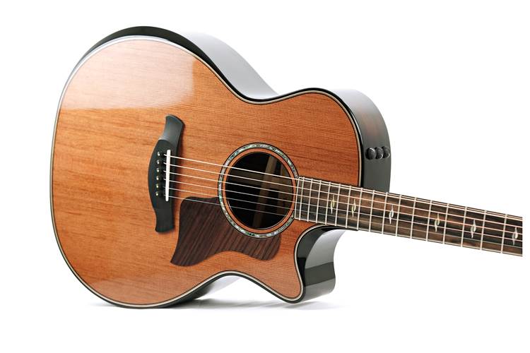 Taylor Builder's Edition 814ce 50th Anniversary Grand Auditorium Taylor Builder's Edition 814ce 50th Anniversary Grand Auditorium