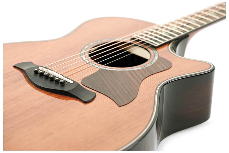 Taylor Builder's Edition 814ce 50th Anniversary Grand Auditorium Taylor Builder's Edition 814ce 50th Anniversary Grand Auditorium