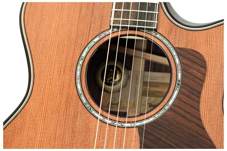 Taylor Builder's Edition 814ce 50th Anniversary Grand Auditorium Taylor Builder's Edition 814ce 50th Anniversary Grand Auditorium