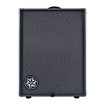 Darkglass Infinity Series DG210D Bass Combo Solid State Amp