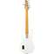 Music Man Sterling StingRay 5 Classic RAY25CA Olympic White Back View