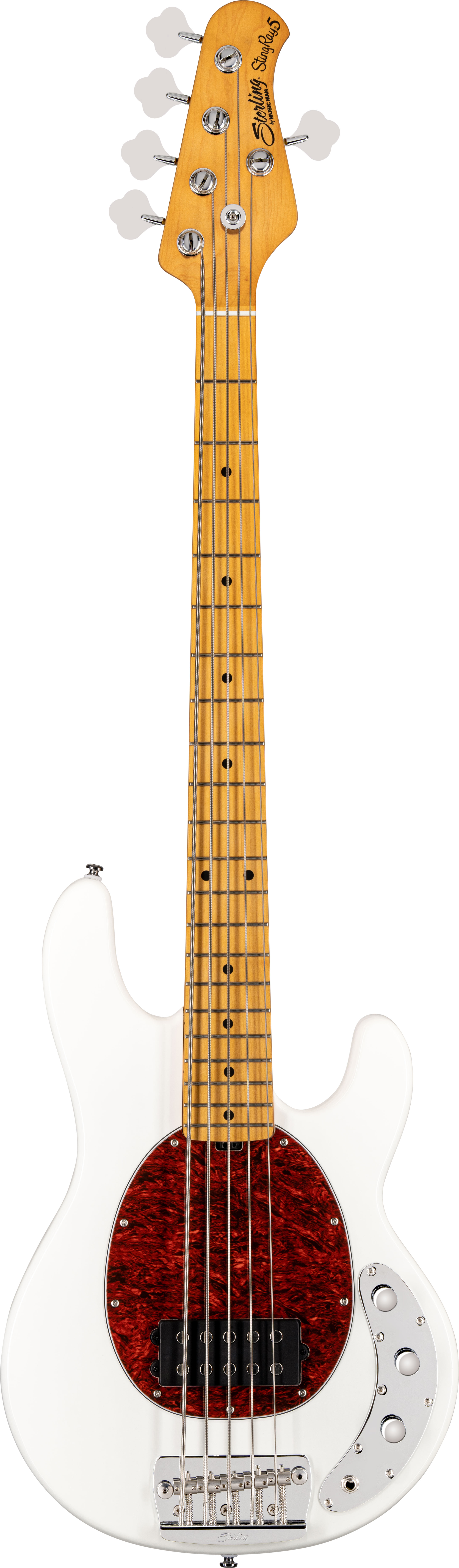 Music man stingray deals 5