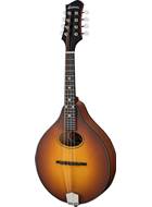 Eastman PCH-M104 Goldburst