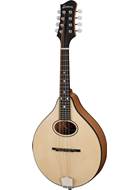 Eastman PCH-M104 Natural