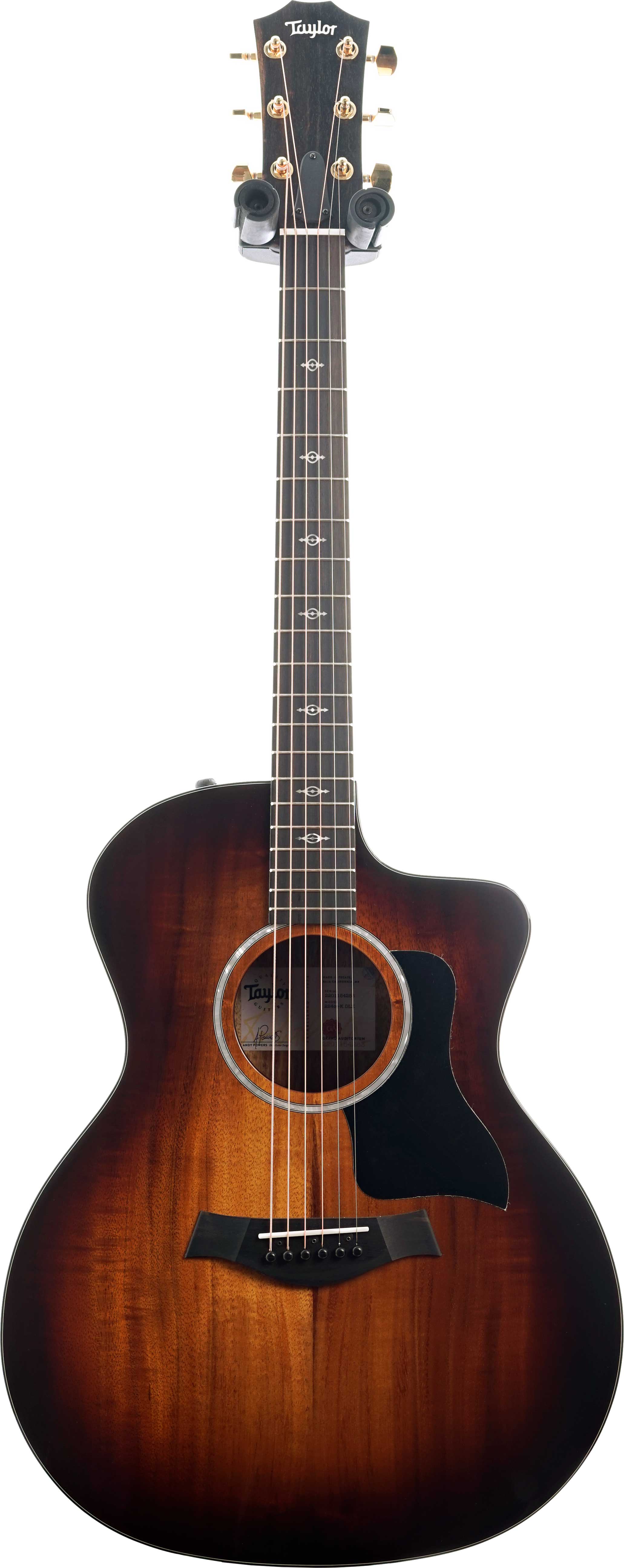 Taylor 224ce-K Deluxe Grand Auditorium #2201154283
