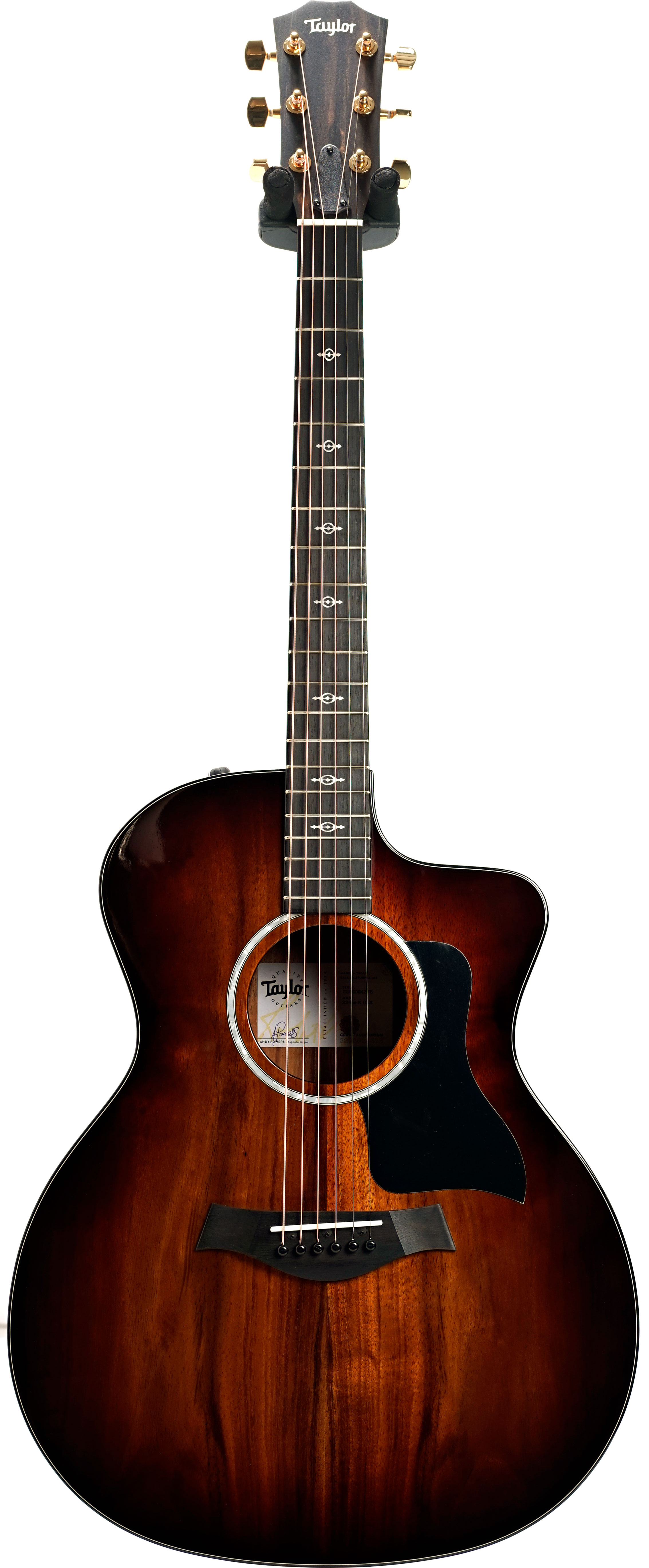Taylor 224ce-K Deluxe Grand Auditorium #2202024375