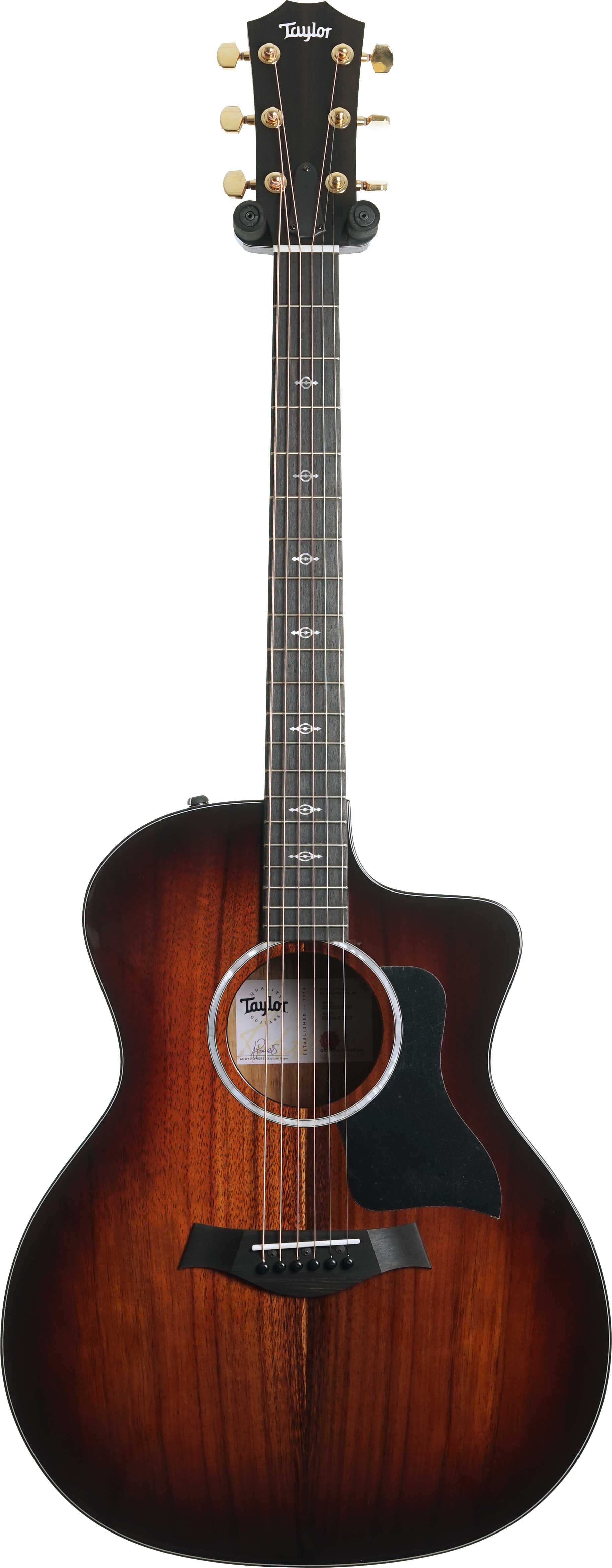 Taylor 224ce-K Deluxe Grand Auditorium (Nearly New) #2205164398