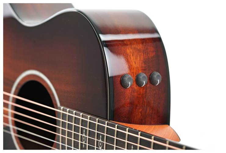Taylor 224ce-K Deluxe Grand Auditorium #2205204398 Taylor 224ce-K Deluxe Grand Auditorium #2205204398