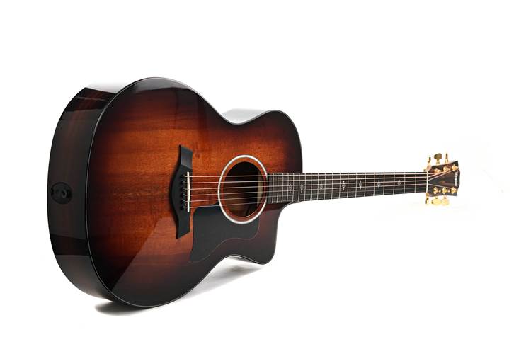 Taylor 224ce-K Deluxe Grand Auditorium #2203224403 Taylor 224ce-K Deluxe Grand Auditorium #2203224403