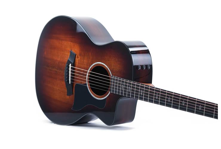 Taylor 224ce-K Deluxe Grand Auditorium #2203224403 Taylor 224ce-K Deluxe Grand Auditorium #2203224403