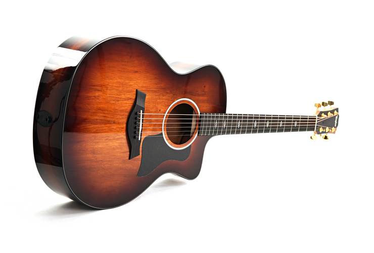 Taylor 224ce-K DLX #2201135399 Taylor 224ce-K DLX #2201135399