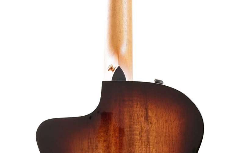 Taylor 224ce-K Deluxe Grand Auditorium #2203315288 Taylor 224ce-K Deluxe Grand Auditorium #2203315288
