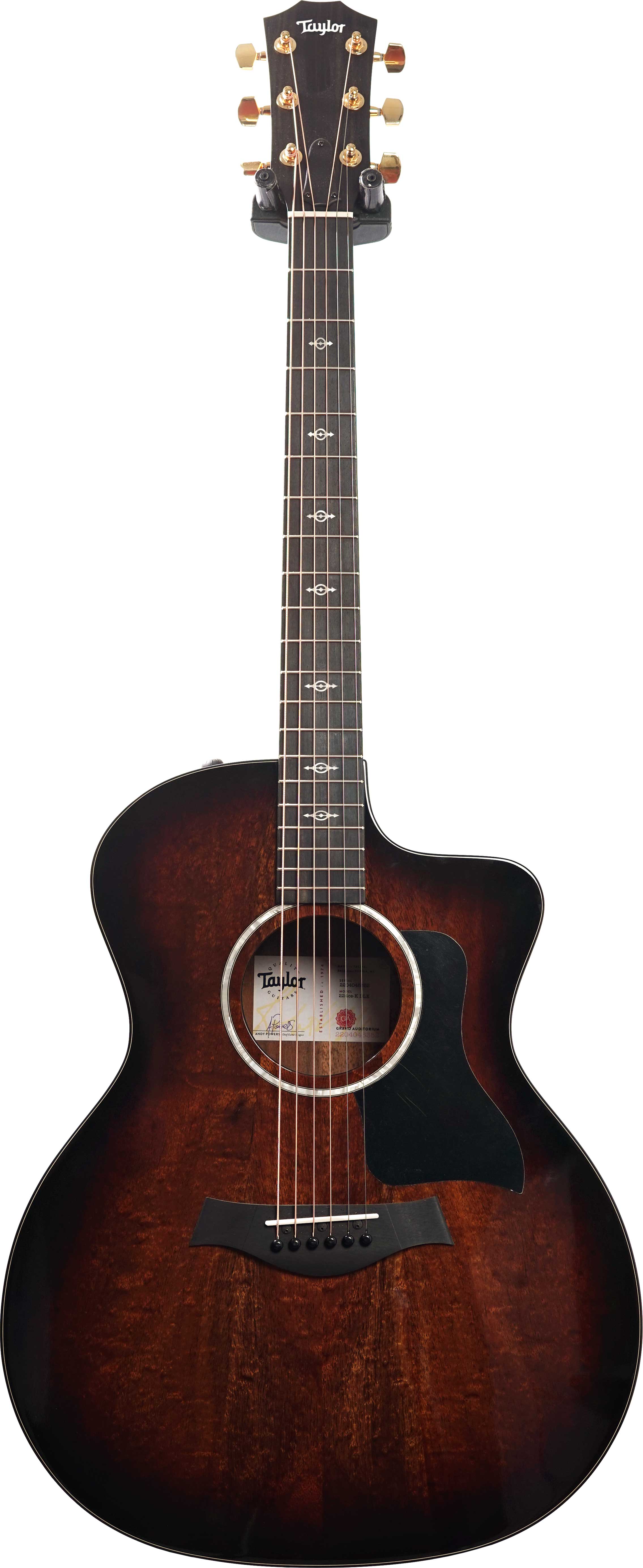 Taylor 224ce-K Deluxe Grand Auditorium #2204045352