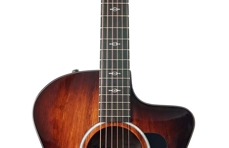 Taylor 224ce-K Deluxe Grand Auditorium #2204105313 Taylor 224ce-K Deluxe Grand Auditorium #2204105313